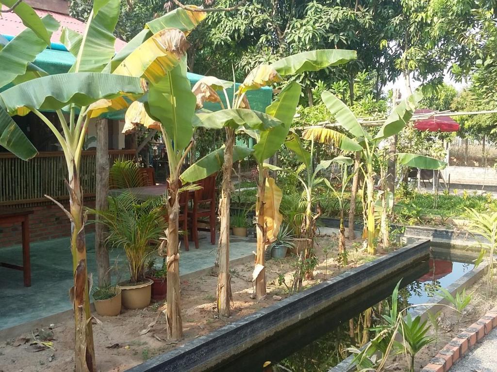 Homestay Villa Dani Siem Reap Eksteriør bilde